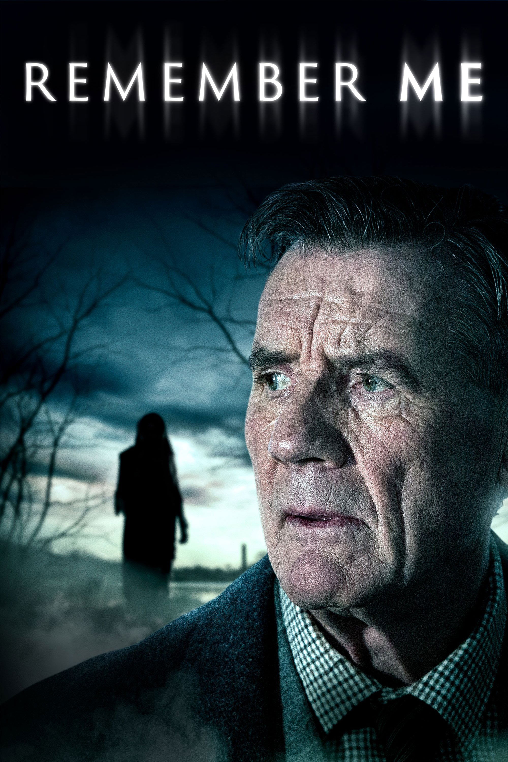 Remember Me [110886] (A1773073333) [[Shows 2.0]] --Plex--